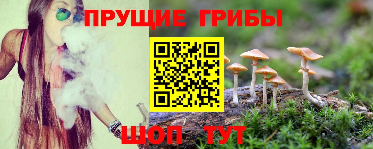 Псилоцибиновые грибы ЛСД Ртищево