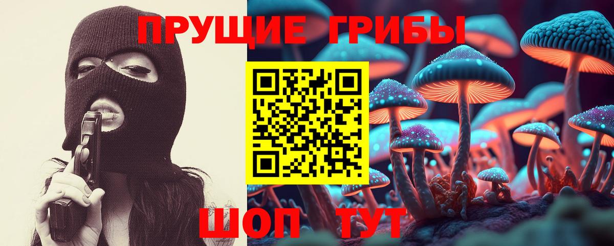 Галлюциногенные грибы Psilocybine cubensis  Вход с VPN  Ртищево 